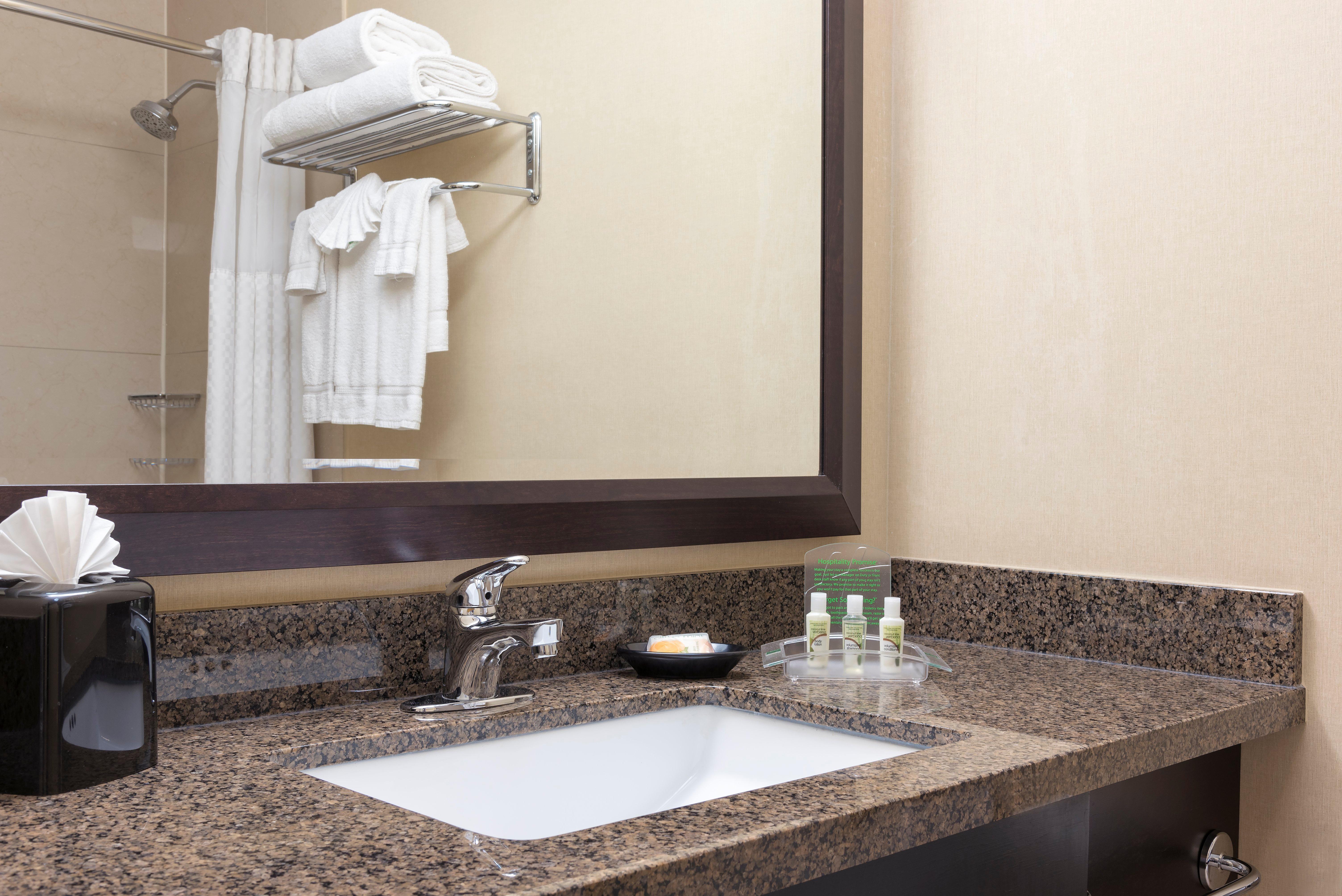 Holiday Inn Chicago - Elk Grove, An Ihg Hotel Elk Grove Village Εξωτερικό φωτογραφία
