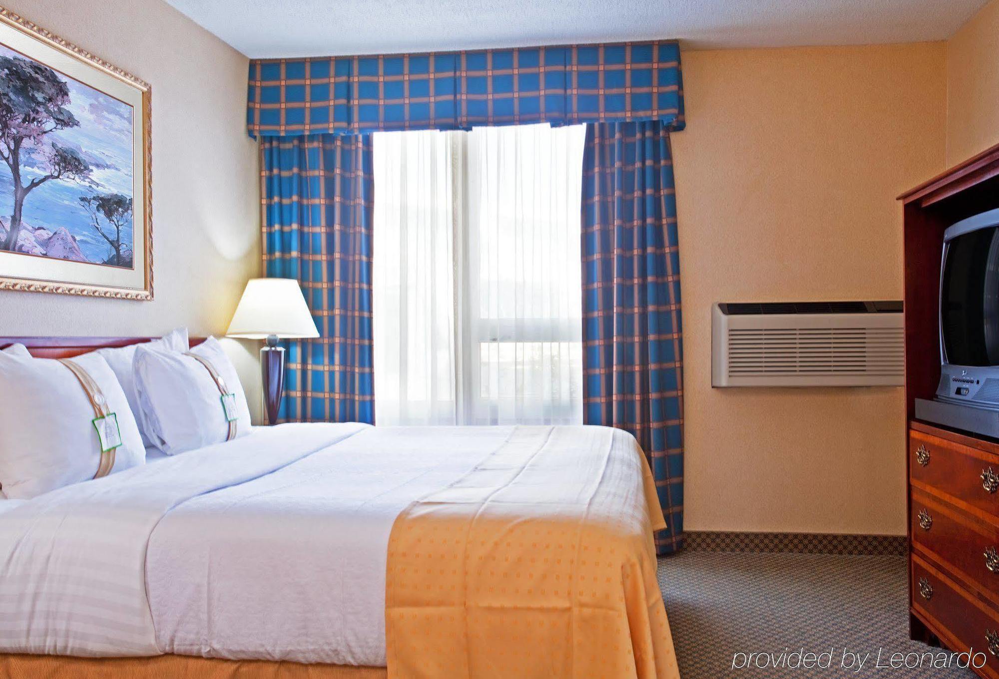 Holiday Inn Chicago - Elk Grove, An Ihg Hotel Elk Grove Village Δωμάτιο φωτογραφία