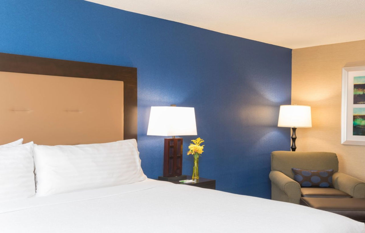 Holiday Inn Chicago - Elk Grove, An Ihg Hotel Elk Grove Village Εξωτερικό φωτογραφία